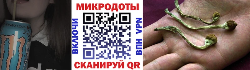 купить цена Аша Псилоцибиновые грибы MAGIC MUSHROOMS
