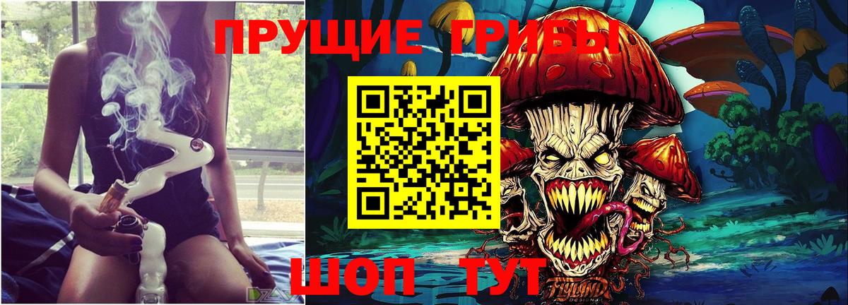Аша  Галлюциногенные грибы прущие грибы  Вход с VPN 