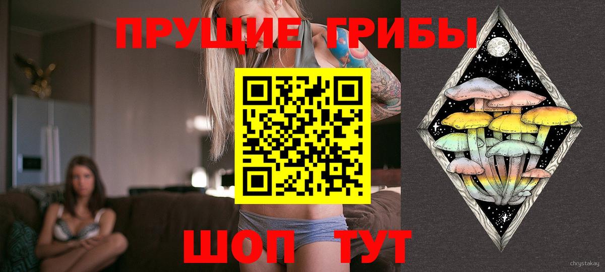 Псилоцибиновые грибы Psilocybine cubensis Аша
