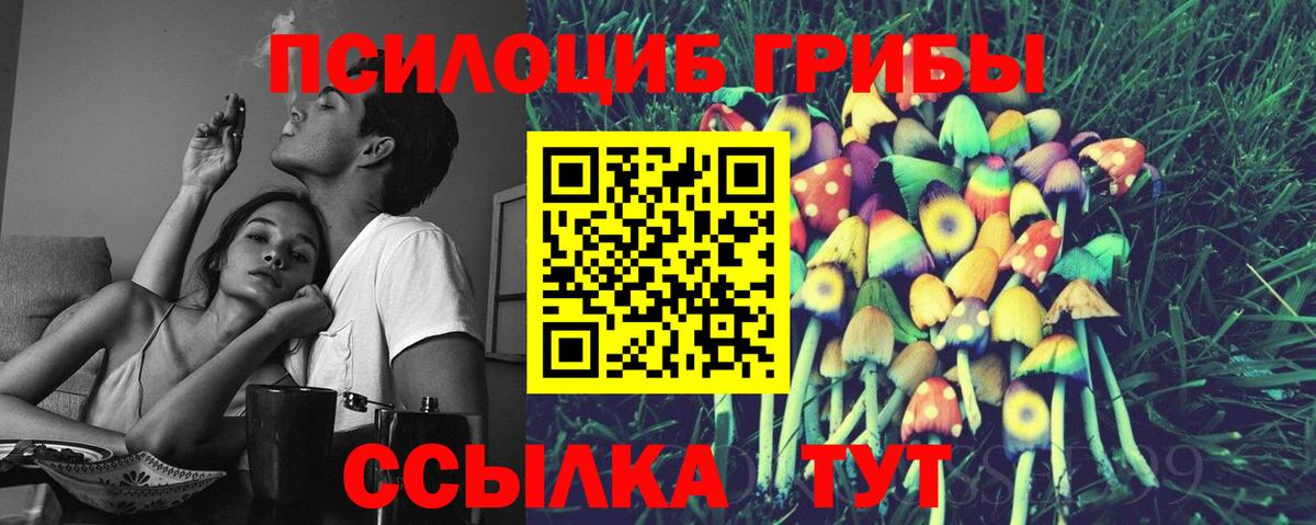 Галлюциногенные грибы прущие грибы  Аша  Галлюциногенные грибы MAGIC MUSHROOMS 