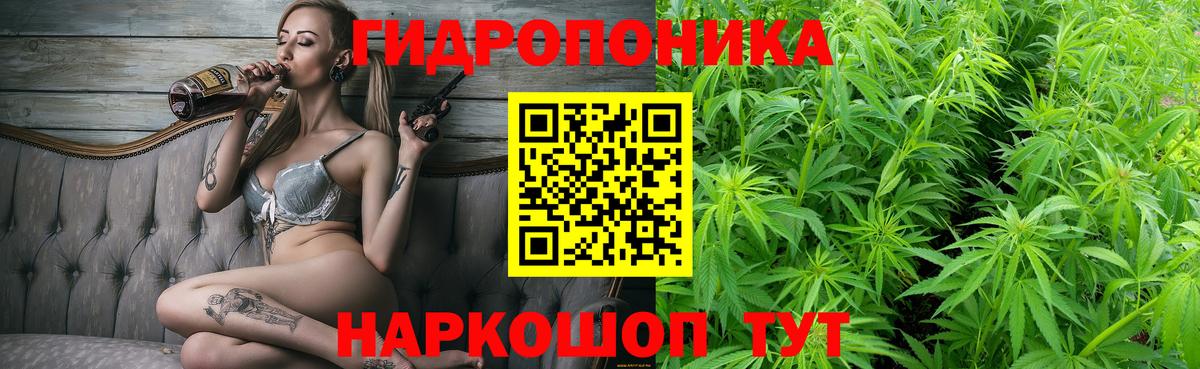 МАРИХУАНА план Аша