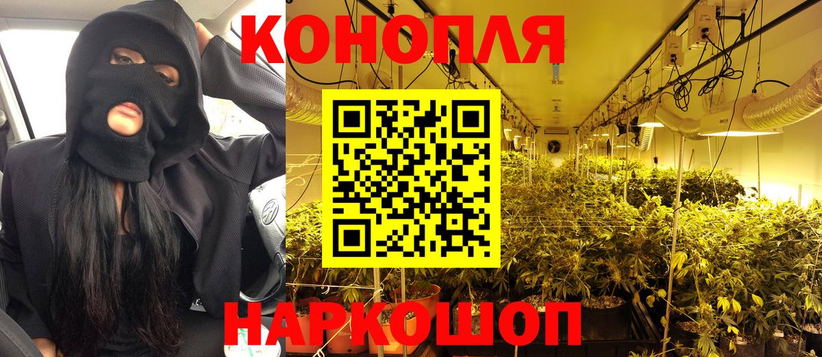 Каннабис планчик  Шишки марихуана гибрид  Канабис SATIVA & INDICA  Вход с VPN  Канабис Bruce Banner  Аша 